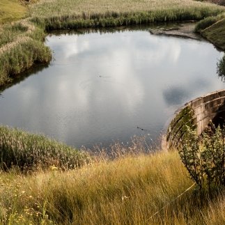 Integrated Water Conservation